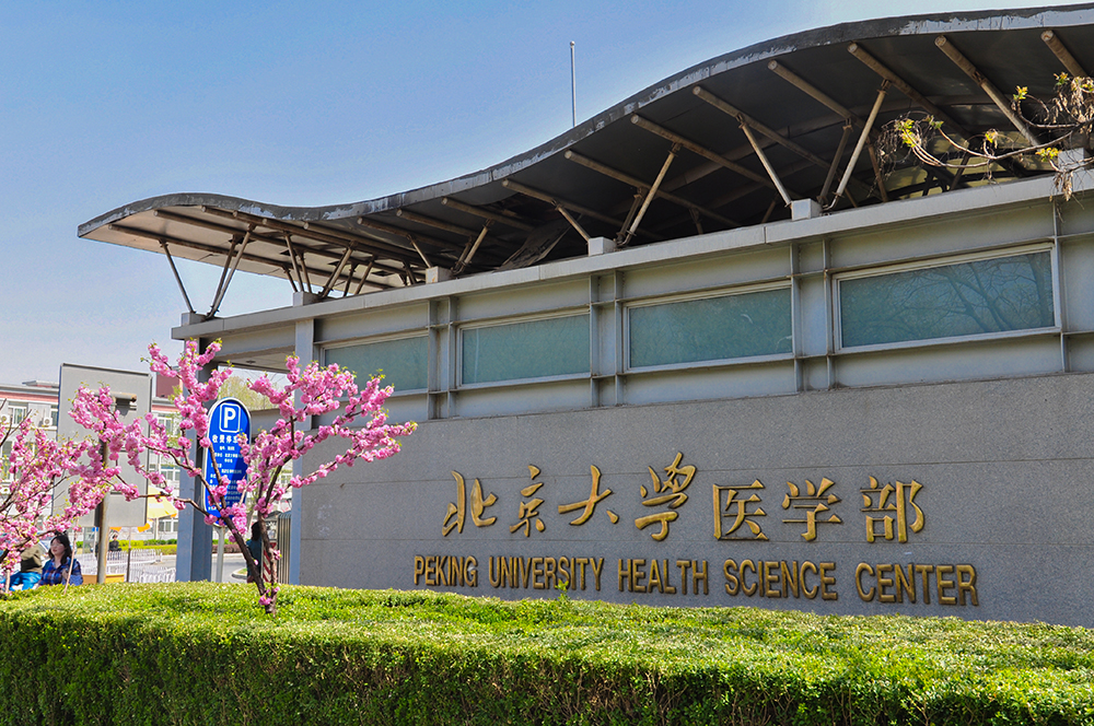 北京大学医学部.jpg